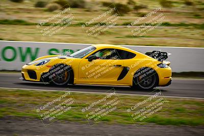 media/Mar-02-2024-West Coast Racing (Sat) [[b06bdffa9f]]/Red Group/Session 1 (Turns 3 and 4)/